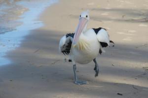 rps20131226_092649_507