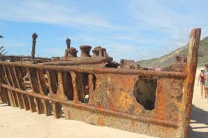 rps20131226_113638_512