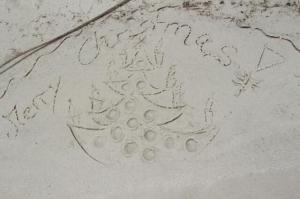 rps20131226_115105_718