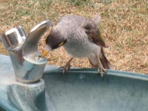 rps20131227_131953_222