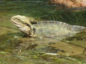 rps20131227_133146_626