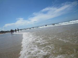 rps20131229_114734_934