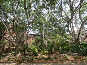 rps20140107_073043_540