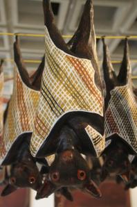 rps20140110_035352_741