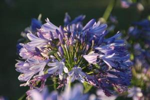 rps20140112_150641_320