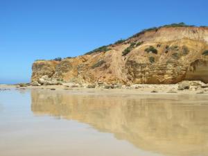 rps20140116_075553_902