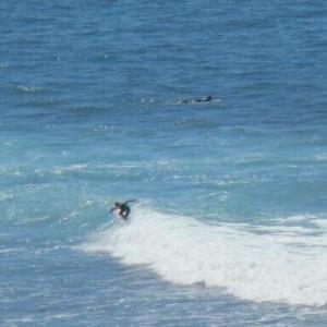 rps20140116_075737_769