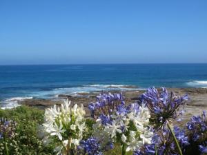 rps20140116_122559_473