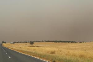 rps20140120_121940_696