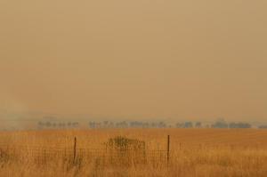 rps20140120_122143_366