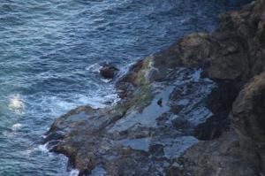 rps20140120_122452_603