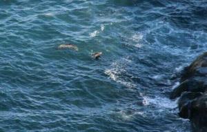 rps20140120_132923_481