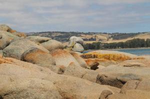 rps20140121_113238_918