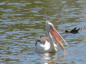 rps20140122_130957_893