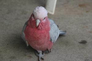 rps20140124_130308_720