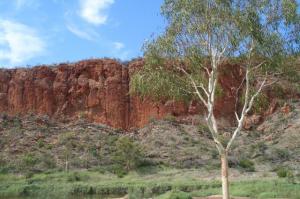 rps20140124_130635_649