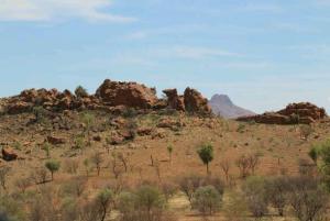 rps20140124_130852_308