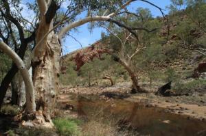 rps20140124_131313_720