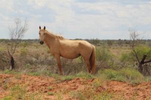 rps20140124_131334_587