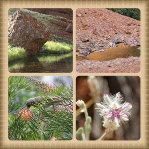 rps20140128_120006_315