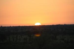 rps20140128_122937_837