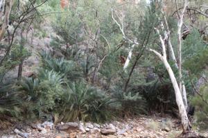 rps20140130_110328_764