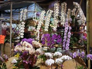 rps20140204_122542_970