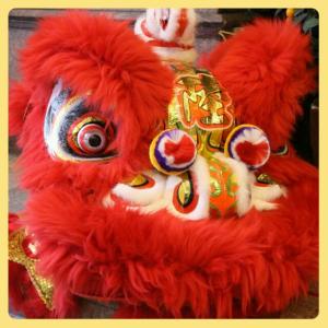 rps20140205_081432_260