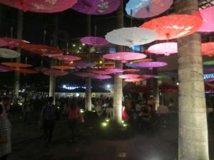 rps20140208_092226_676