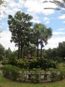 rps20140211_180448_793