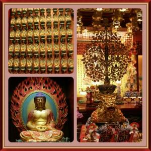 rps20140215_123820_567