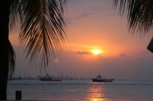 rps20140215_214636_859