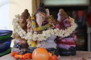 rps20140217_115728_221