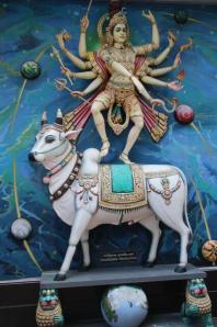 rps20140217_120802_931