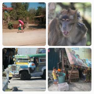 rps20140219_141519_106