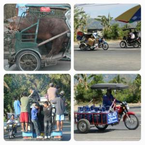 rps20140219_141557_379