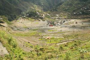 rps20140221_153412_809