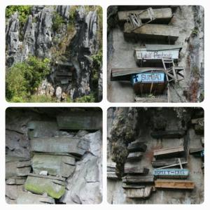 rps20140222_083636_689