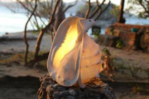 rps20140301_031258_400