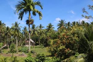 rps20140301_031626_718