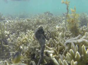 rps20140303_105717_942