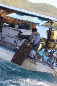 rps20140303_110603_586