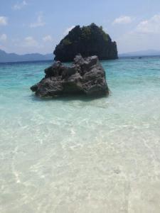 rps20140307_151852_576