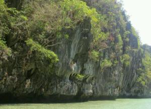 rps20140307_152053_316