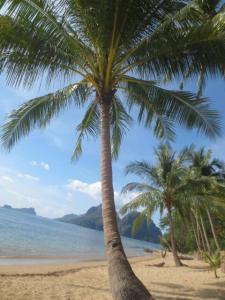 rps20140308_094523_813