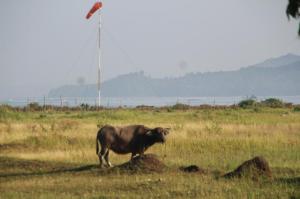 rps20140309_153857_711