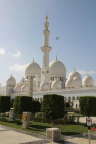 rps20140317_202418_583