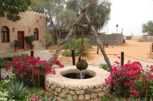 rps20140317_203036_352