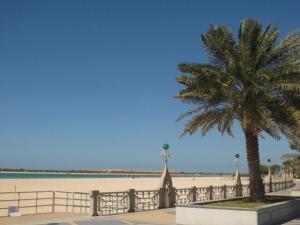 rps20140318_130307_732