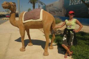 rps20140319_071038_141